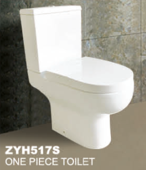 ZYH517S