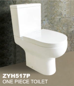 ZYH517P