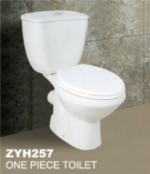 ZYH257